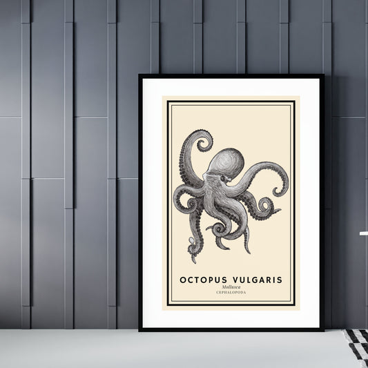 Octopus Vulgaris, Art Print, A3/A4/A5 Sizes