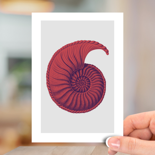 Pop Art Shell - Red, All Occasion Greeting Card