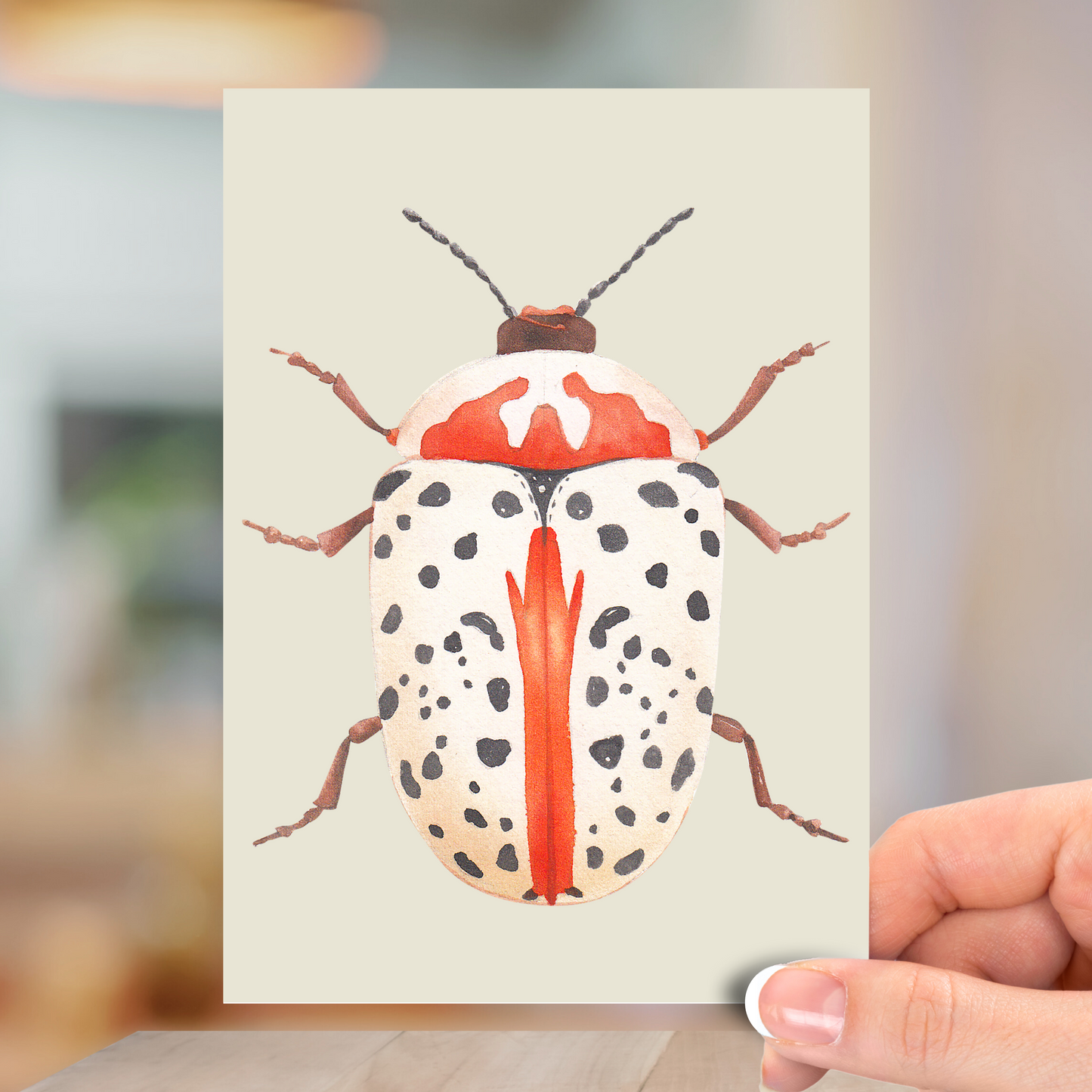 Funky Bug, All Occasion Greeting Card